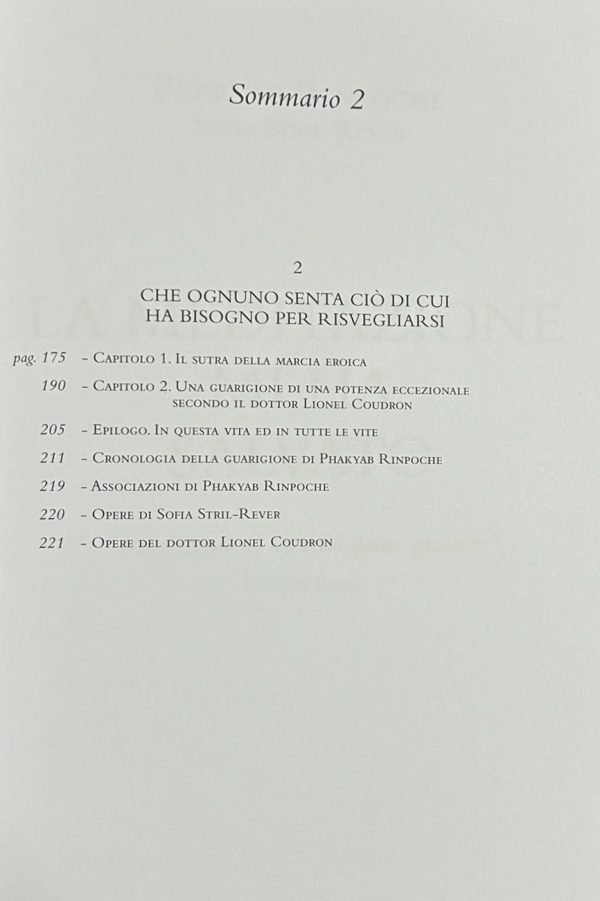 La meditazione mi ha salvato, Phakyab Rinpoche, Sofia Stril-Rever - immagine 4