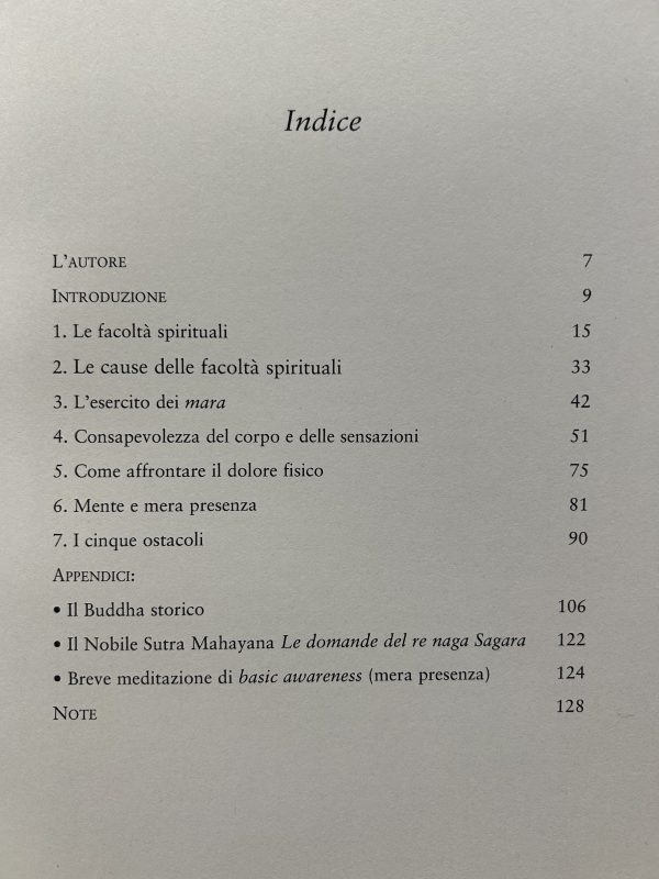 FONDAMENTI DELLA CONSAPEVOLEZZA. Antonio Satta, La Ruota del Dharma - immagine 3