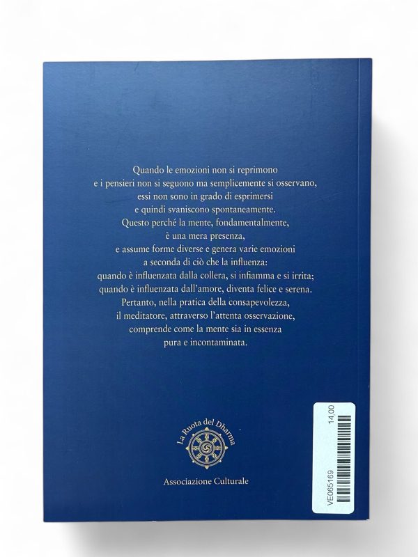 FONDAMENTI DELLA CONSAPEVOLEZZA. Antonio Satta, La Ruota del Dharma - immagine 2